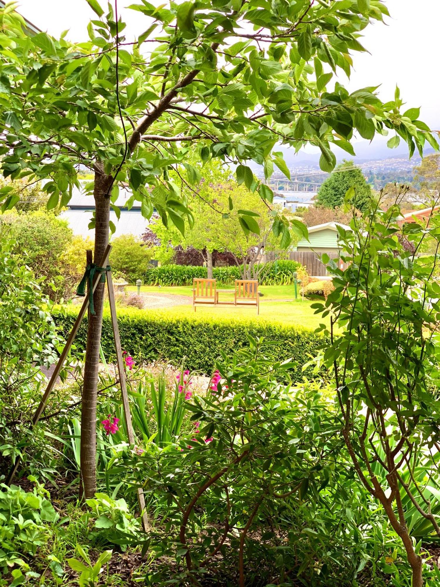 Orana House Bed & Breakfast Hobart Exterior photo